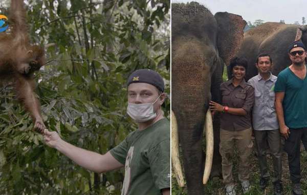 Leonardo DiCaprio dona 15 millones de $ para proteger el planeta y detener la caza de animales