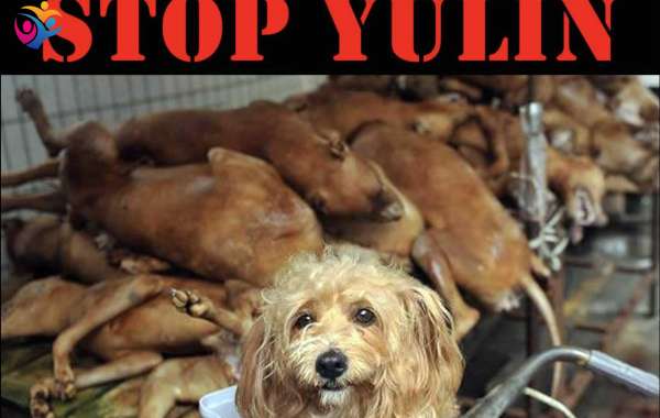 Alto al Festival de Carne de Perro en Yulin China.