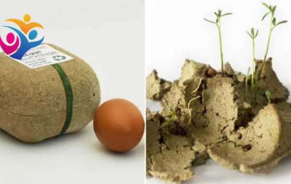 Carton de huevos se convierte en plantas después de utilizarlo