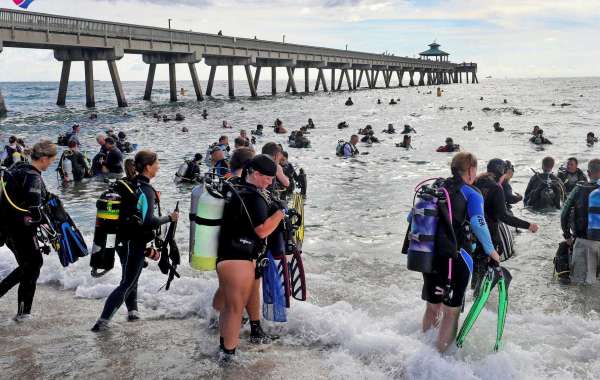 Más de 600 buzos recogen basura del fondo del mar y establecen nuevo récord mundial